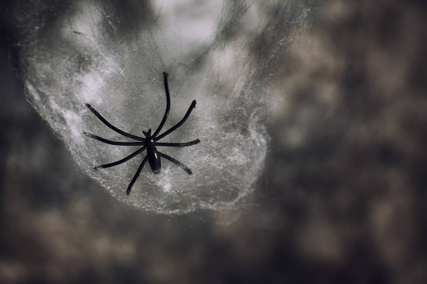 Cadılar Bayramı partisi için dekor olarak web örümcek - Fotoğraf, Görsel