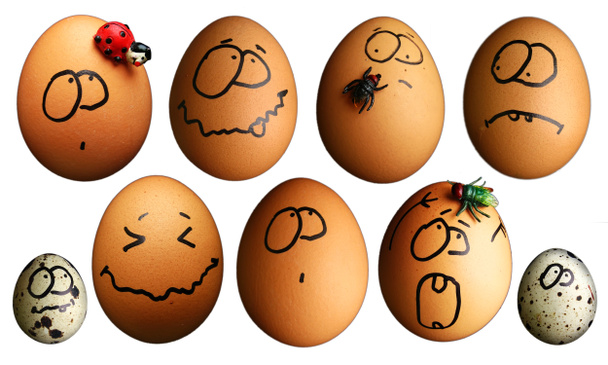Funny eggs - Photo, Image