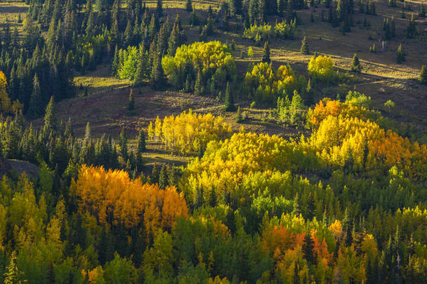 Autumn colors, aspen forests and snow covered mountain peaks in Telluride, Colorado - Foto, immagini