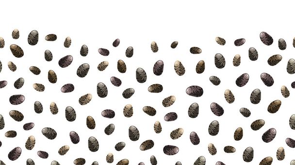 Chia seeds vector background - Vector, Image