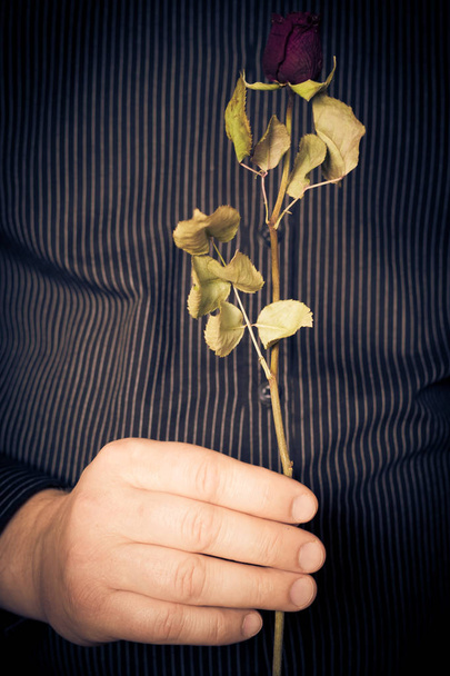 Man in shirt holding a rose in his hand. - Foto, Bild