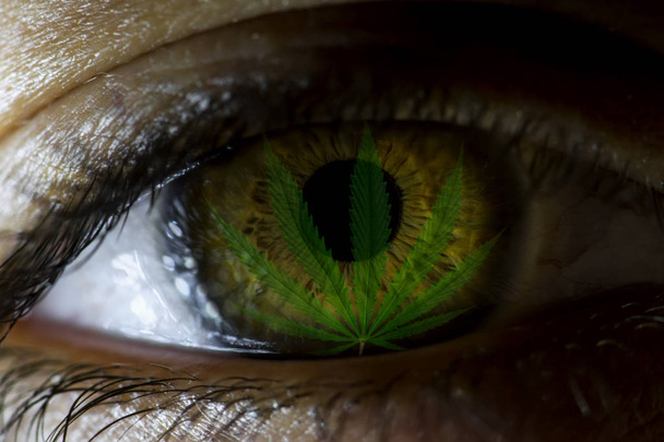 Close-up um olho humano com reflexão folha de cânhamo representando ser apedrejado em maconha recreativa ou médica. Conceito de problema de dependência
  - Foto, Imagem
