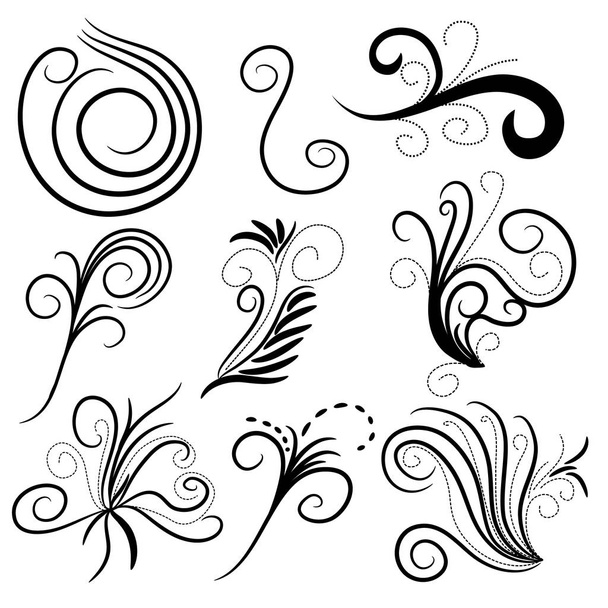 Zwart-wit krullen en doodles collectie - Vector, afbeelding