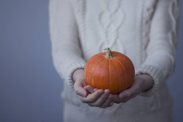 The woman in a white sweater holds pumpkin in hand - Photo, image