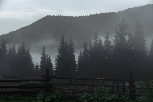 Öko-Bauernhof in den Bergen an einem nebligen Sommermorgen - Foto, Bild
