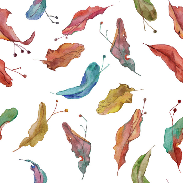 Watercolour hand drawn pattern of autumn seeds. Fantasy design of colour.  background rasr. - Photo, Image