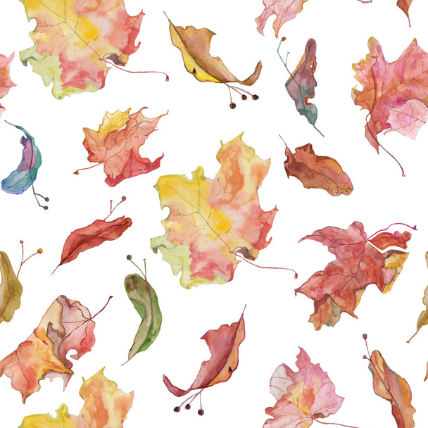 Hand getekende aquarel achtergrond sjabloon. Herfst zaden en bladeren in het oorspronkelijke ontwerp. Ideaal voor herfst menu in café. - Foto, afbeelding