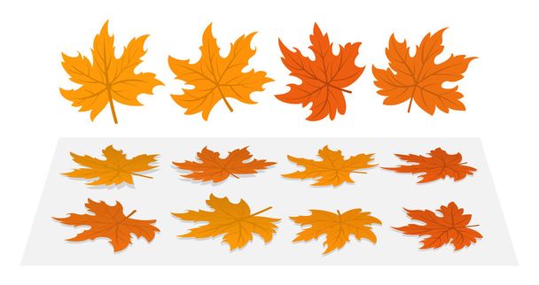 Set of maple leaves - Vector, Image