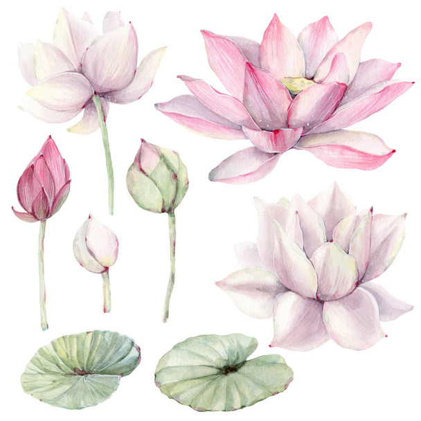 Watercolor flowers set in vintage style. - Foto, afbeelding