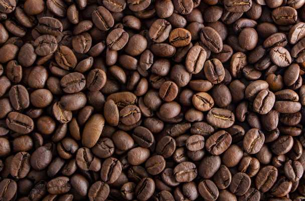 Coffee seeds, texture, top view, with hard side light and high contrast close up - Foto, Imagem