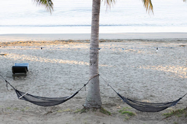 Two twin hammocks hanging from coconut tree on beach - Фото, зображення
