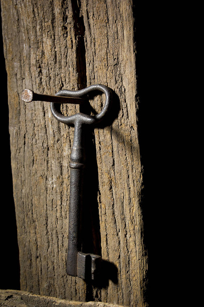Vintage key hanging on an old log - 写真・画像