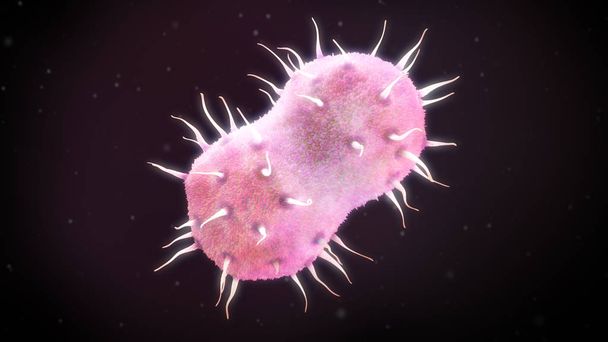 Ilustração 3d de uma bactéria Neisseria Gonorrhoeae
 - Foto, Imagem