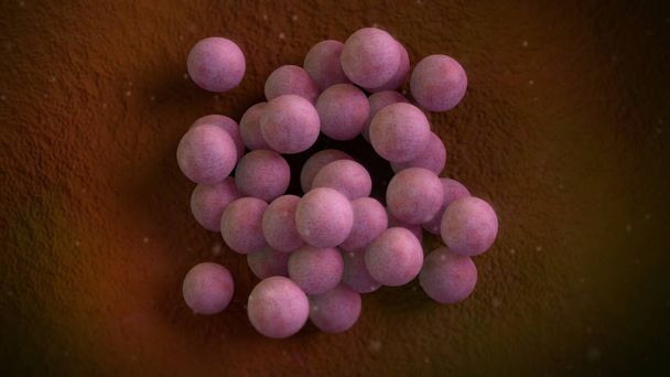 3D-Illustration eines Staphylococcus aureus Bakteriums - Foto, Bild