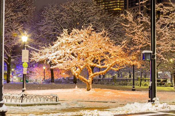 Estas árvores congeladas foram tiradas durante a época de Natal no centro de Boston
. - Foto, Imagem