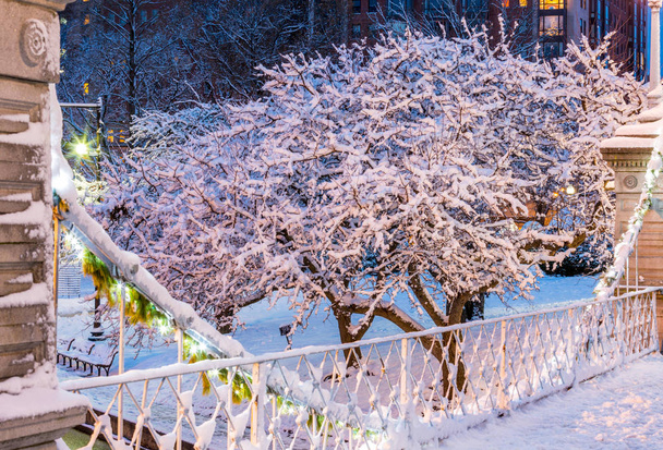 dieses Bild wurde am Morgen aufgenommen, kurz nachdem es im Boston Common Park am Wintermorgen geschneit hatte. - Foto, Bild