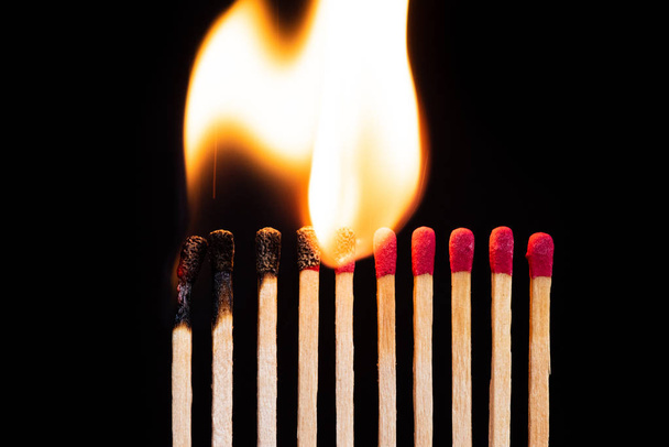 Lit match next to a row of unlit matches. The Passion of One Ignites New Ideas, Change in Others. - Photo, Image