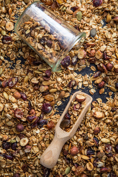 homemade granola (hazelnuts, raisin, dried cranberry, pumpkin, sesame and sunflower seeds). Top view - Foto, imagen