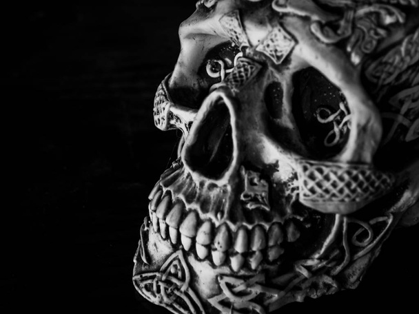 Close-up beautiful horror engraving skull face isolated on black background on black and white style. - Photo, Image