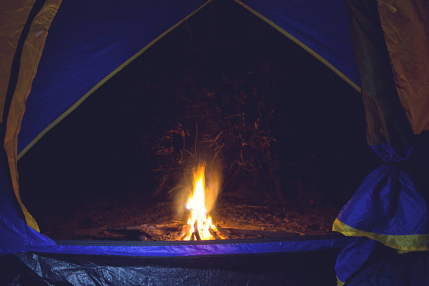 Feu de camp et tente de camping dans la forêt
 - Photo, image