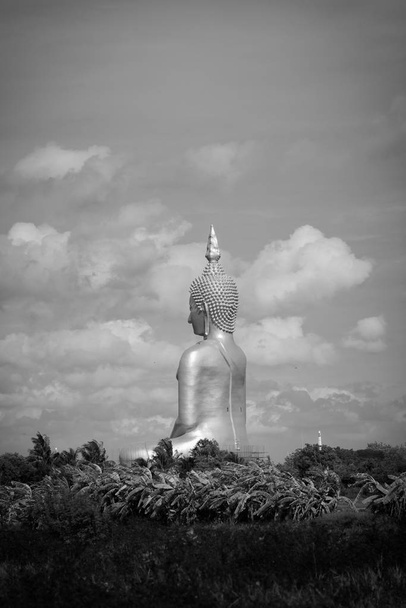 Paisaje del campo de arroz y gran estatua de oro de Buda en Wat Muang Templo hito de la provincia de angthong, Tailandia. tono de color blanco y negro
 - Foto, imagen
