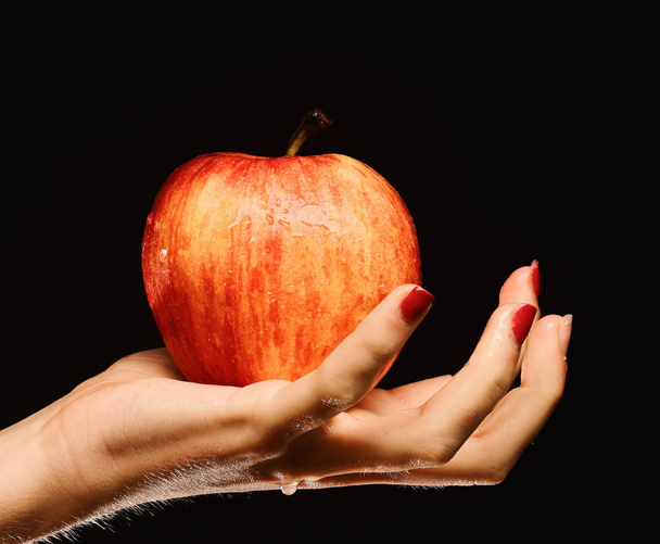 Female hand holds fresh fruit isolated on black background - Photo, Image