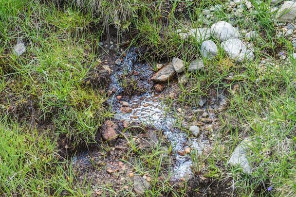 Pellicola bio per accumulo di microrganismi sulla superficie dell'acqua, Austria
 - Foto, immagini
