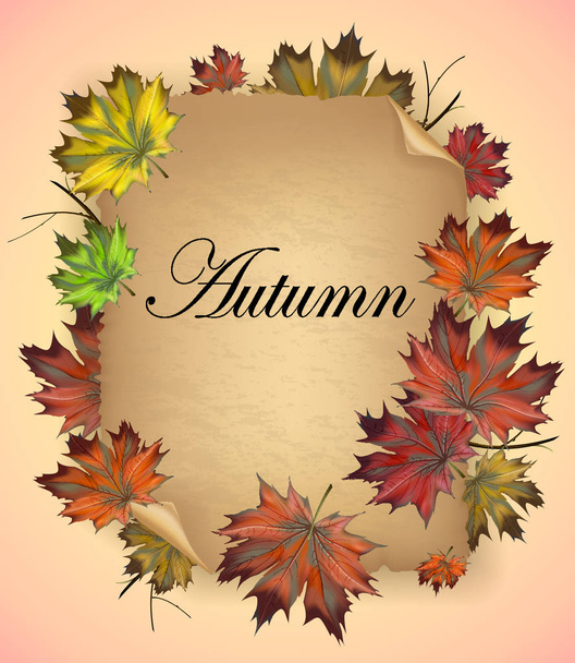Corona de hojas de arce de otoño sobre el fondo de papel viejo
 - Vector, Imagen