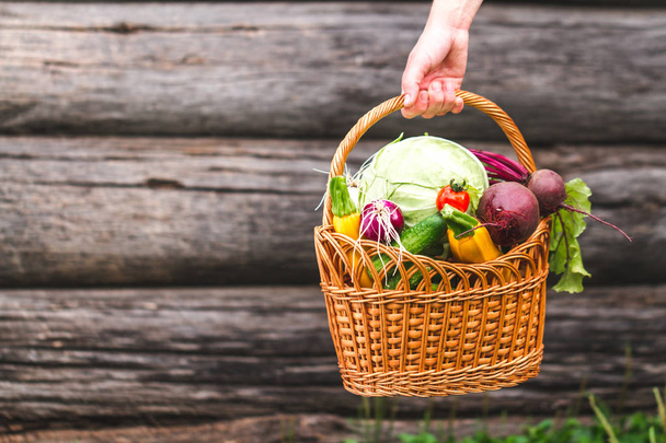 Female hand holding basket with fresh vegetables. - Photo, Image