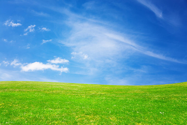 Groene weide en blauwe hemel - Foto, afbeelding