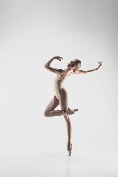 Ballerina. Young graceful female ballet dancer dancing at studio. Beauty of classic ballet. - 写真・画像