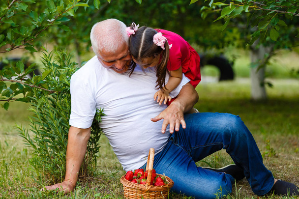 Vnučka krmení dědeček s jahodami - Fotografie, Obrázek