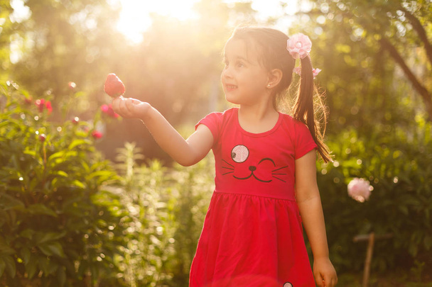 Little girl pick fresh fruit on organic strawberry farm. - Fotoğraf, Görsel