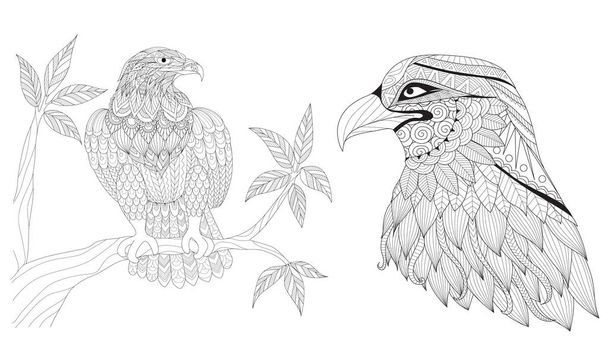 Set of eagles for coloring Book page  for adults. Colouring pictures for Antistress,freehand sketch drawing with doodle and zentangle style. Vector illustration - Vektor, obrázek