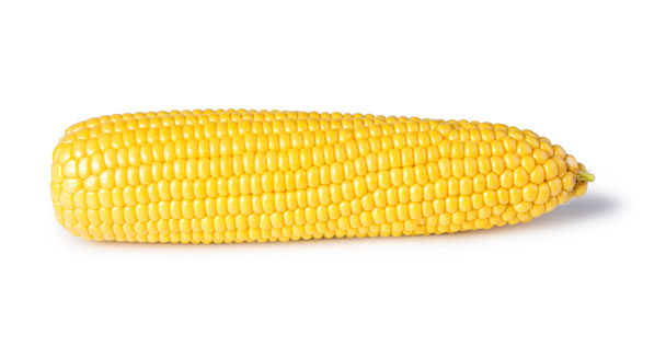 csöves kukorica elszigetelt fehér background - Fotó, kép