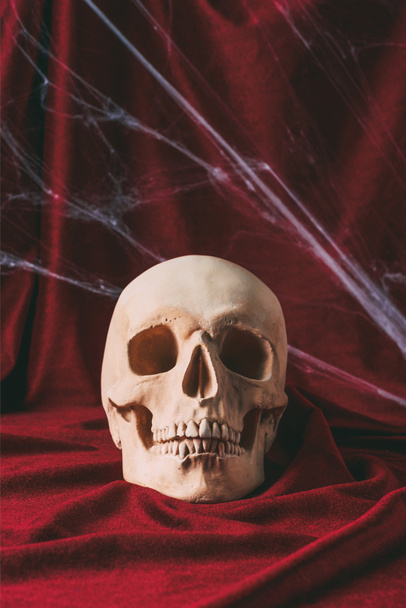 creepy halloween skull on red cloth with spider web - Фото, изображение