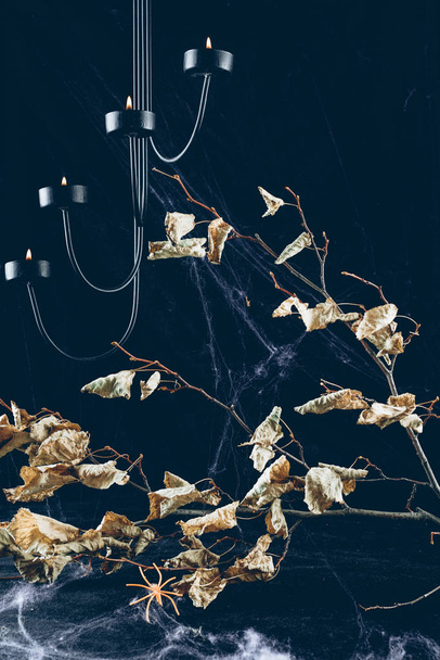 suchej gałęzi z liści w pajęczej sieci w ciemności ze świecami - Zdjęcie, obraz