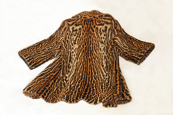 magnifique manteau en fourrure d'ocelot
 - Photo, image