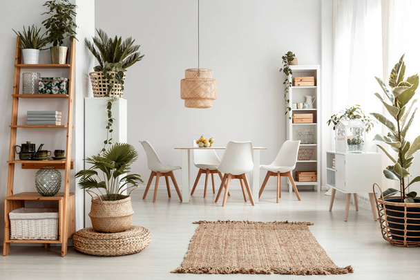 Plants on shelves and rug in white apartment interior with chairs at dining table under lamp. Real photo - Photo, Image