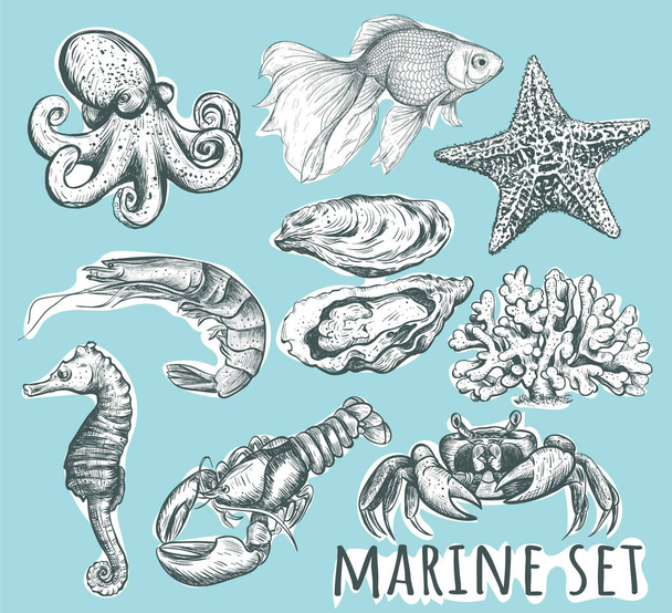 Collecte d'animaux marins
.  - Vecteur, image