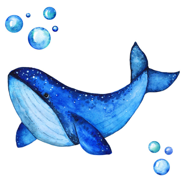 Big Blue Whale Handdrawing Watercolor Illustration a High Resolution - Photo, Image