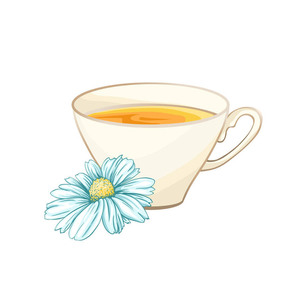 Porcelain or Ceramic Tea Cup. Chamomile or Daisy Flower and Green Tea. Herbal Therapy. Made Tea with Matricaria Loose Herbs. Vector Illustration. Banner Design, Restaurant Menu, English Breakfast. - Vector, Image