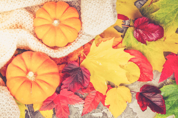Calabazas de Acción de Gracias con hojas de otoño
 - Foto, imagen