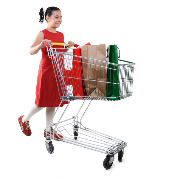Little girl shopper in red dress with shopping cart - Fotografie, Obrázek