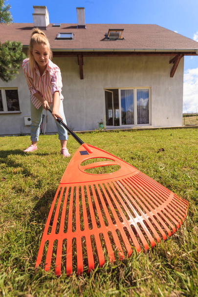 Unusual angle of woman raking leaves using rake. Person taking care of garden house yard grass. Agricultural, gardening equipment concept. - Photo, Image
