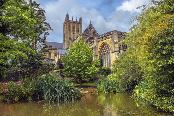 ウェルズ大聖堂 (聖アンドリュー大聖堂教会)、井戸の修道院と、サマセット、イングランドの晴れた日の公園 - 写真・画像