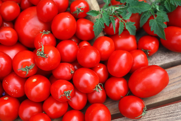 Fresh tomato crop in a wooden bowl - Photo, Image