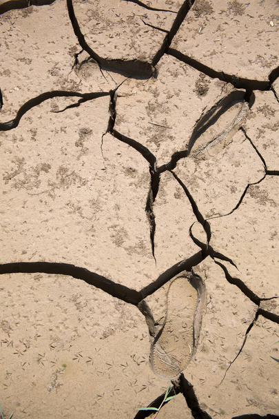 Dry land. Cracked ground background. - Photo, Image