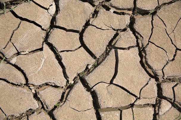 Dry land. Cracked ground background. - Photo, Image
