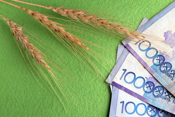 Trzy głowy pszenicy i trzydzieści tysięcy tenge kazachskie na zielonym tle. Koncepcja drogich zbiorów, korupcja w dziedzinie rolnictwa, koszt produkcji chleba. Ziarna i pieniądze. - Zdjęcie, obraz
